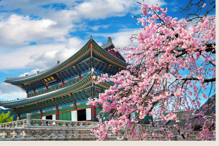 10 Destinasi Wisata Korea Selatan